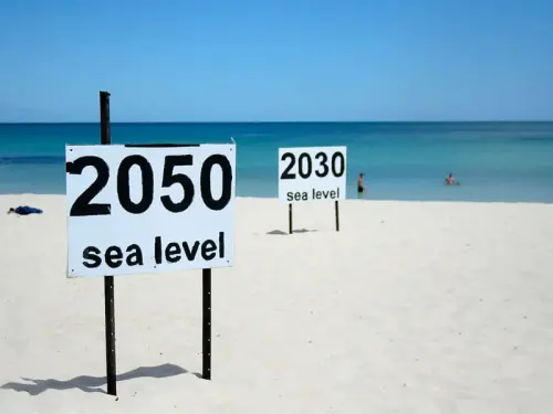 La temperatura dei mari si alza, le specie anfibie diventano terrestri ,studio sui granchi