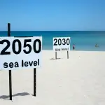 La temperatura dei mari si alza, le specie anfibie diventano terrestri ,studio sui granchi