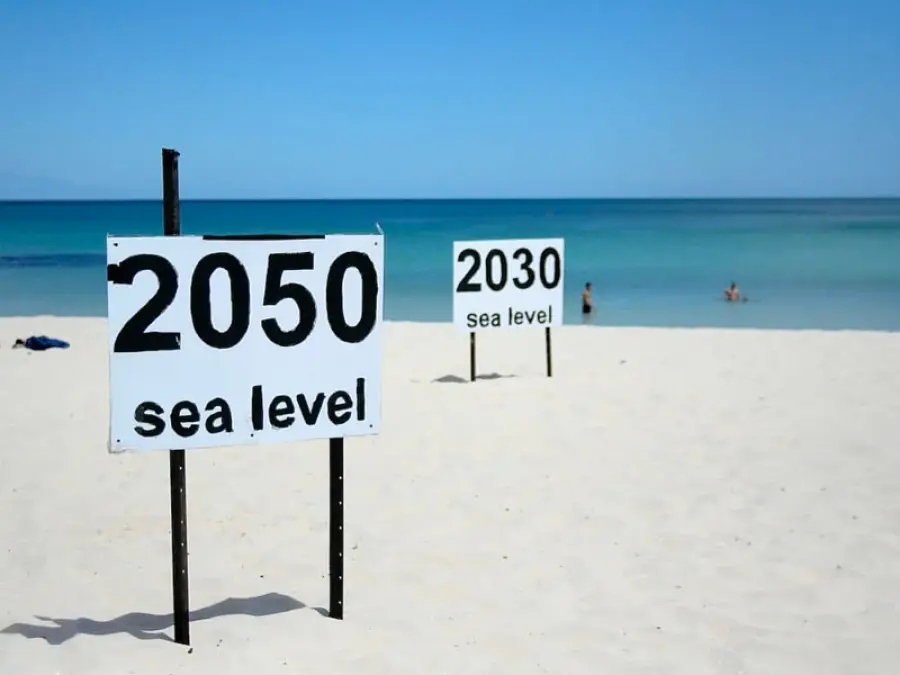 La temperatura dei mari si alza, le specie anfibie diventano terrestri ,studio sui granchi