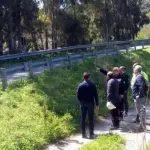 Delrio: il ponte Himera sarà demolito