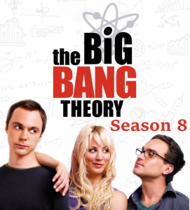 big bang theory 8